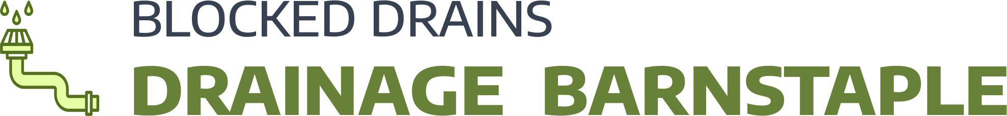 website logo